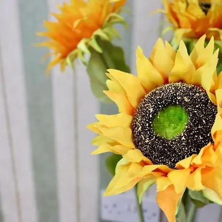 Exquisite Folk Victorian One-bed House: Holiday home *